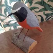 イルミーの画像