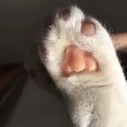 ゆーうの画像
