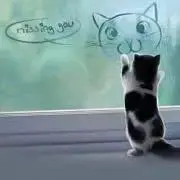 Seraの画像