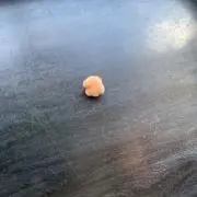 あんきものグミの画像
