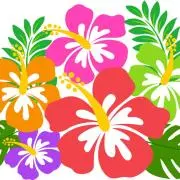 気分はハワイの画像