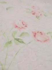 いちごの画像
