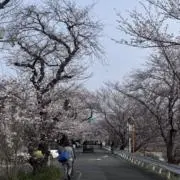 ཐིཋྀ  無言購入⭕️の画像