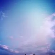 みみの画像