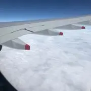 たまたん