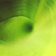 mmmuuの画像