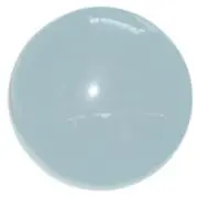 みの画像