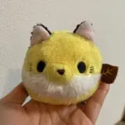 きいの画像