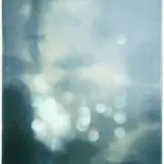aoの画像