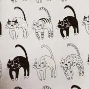 もんみの画像