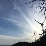 のり