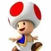 キノピー  ☆挨拶不要です☆の画像