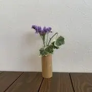 レナの画像