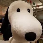 K.SAYAの画像