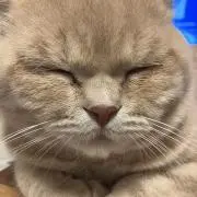 みか姉※プロフ読んで下さい！の画像