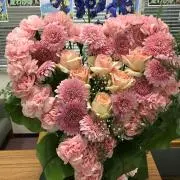 ブンちゃん☆☆☆の画像