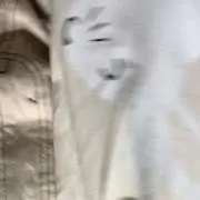 アイリ