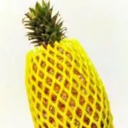 ぱの画像