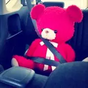 歯車 即購入OKの画像