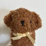 ちゅんの画像
