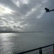 タコライス公式の画像