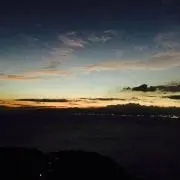 みーの画像