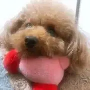 イ・ドンウク トレカ ポストカード 大阪限定 VIP - メルカリ