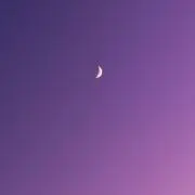 Re'の画像