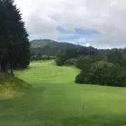 eDaMaの画像