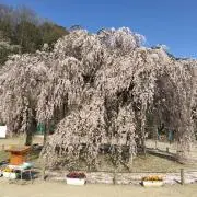 hiromi