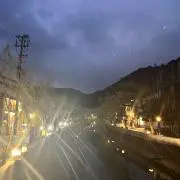 tomの画像