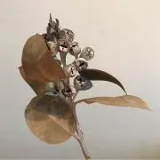 tunagu