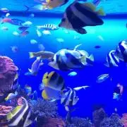 ぷるるる　プロフ必読。
