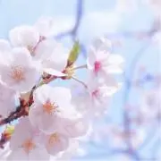 ＊m＊の画像