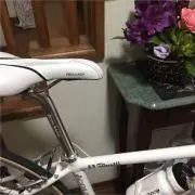 ルル