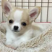 いーさん★の画像