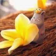 momoの画像