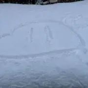 のばの画像