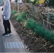みの画像