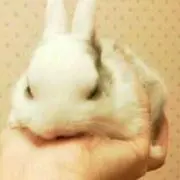 ma