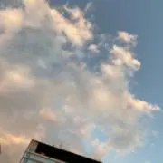 やの画像