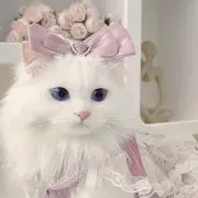 otk__2525の画像