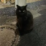 roka