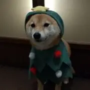 ひよこ(・ω・)の画像