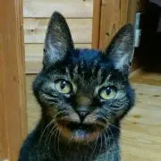 ☺︎おやきちゃん☺︎の画像