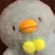 ゆきおの画像