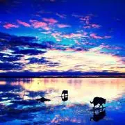 麒麟の画像