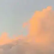 Pの画像