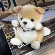 小町の画像