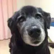 Megumiの画像